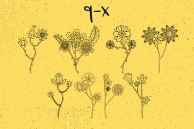 Bloom by Minimalistartstudio — Dingbats Font — thumbnail 8