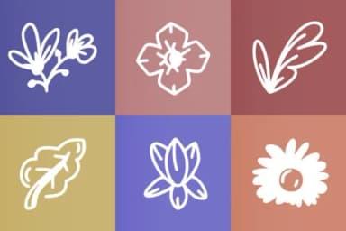 Bloom by YandiDesigns — Dingbats Font — thumbnail 3