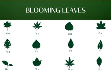 Blooming Leaves by Heartcraft Atelier — Dingbats Font — thumbnail 3
