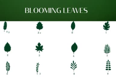 Blooming Leaves by Heartcraft Atelier — Dingbats Font — thumbnail 4