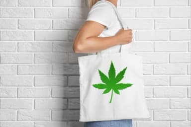 Blooming Leaves by Heartcraft Atelier — Dingbats Font — thumbnail 6