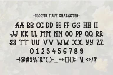 Bloomy Fluff by Letterayu — Slab Serif Font — thumbnail 6