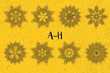 Blossom by Minimalistartstudio — Dingbats Font — thumbnail 2