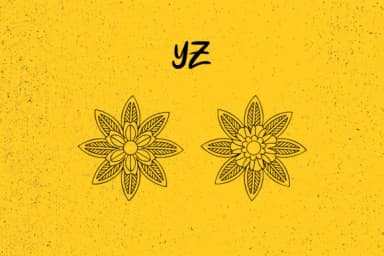 Blossom by Minimalistartstudio — Dingbats Font — thumbnail 5