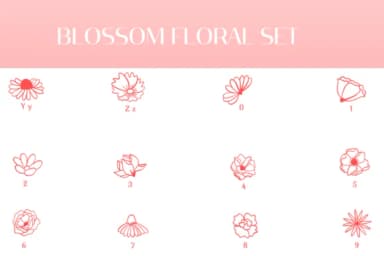 Blossom Floral Set by Heartcraft Atelier — Dingbats Font — thumbnail 4
