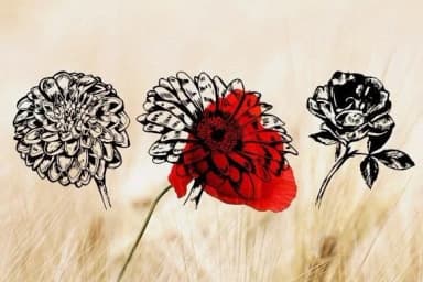 Blumen by vladimirnikolic — Dingbats Font — thumbnail 3