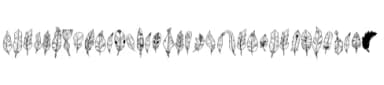 Boho Feather by onoborgol — Dingbats Font — thumbnail 6