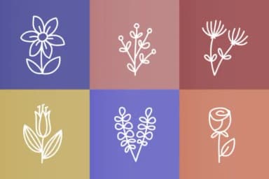 Boho Floral by YandiDesigns — Dingbats Font — thumbnail 3