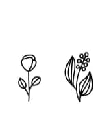 Boho Floral by YandiDesigns — Dingbats Font — thumbnail 5