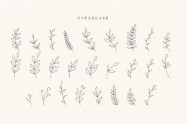 Boho Leaves by CraftedType Studio — Dingbats Font — thumbnail 2