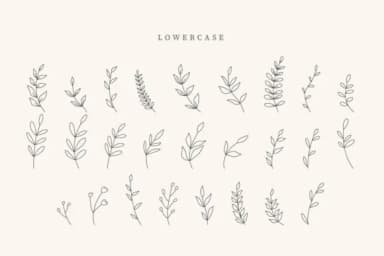 Boho Leaves by CraftedType Studio — Dingbats Font — thumbnail 3