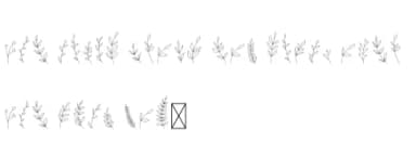 Boho Leaves by CraftedType Studio — Dingbats Font — thumbnail 5