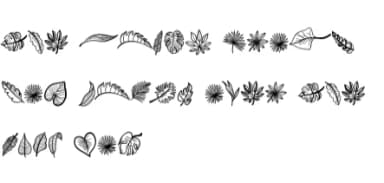 Boho Leaves by Sontaya — Dingbats Font — thumbnail 8