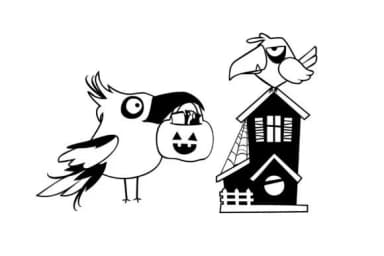 Bones and Feathers Society by Illustration Ink — Dingbats Font — thumbnail 5