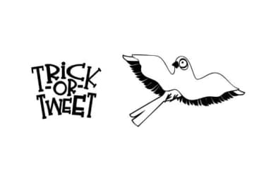 Bones and Feathers Society by Illustration Ink — Dingbats Font — thumbnail 7