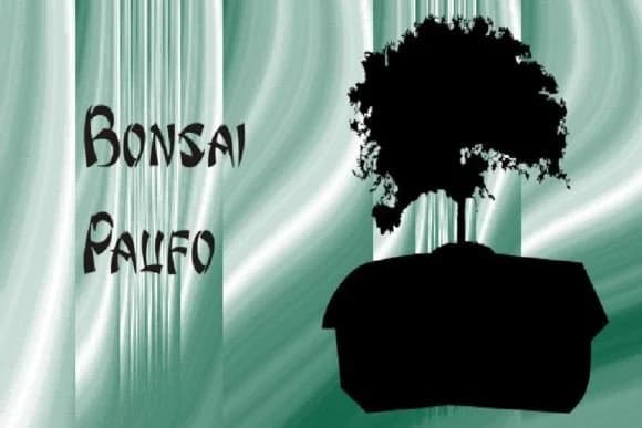 Bonsai Paufo by Intellecta Design — Dingbats Font
