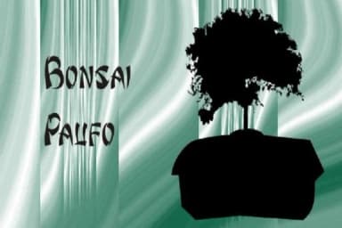 Bonsai Paufo by Intellecta Design — Dingbats Font — thumbnail 1