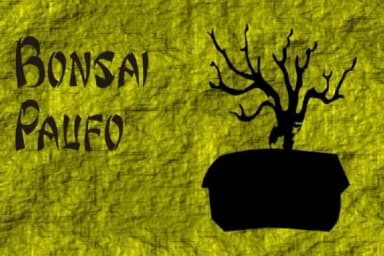 Bonsai Paufo by Intellecta Design — Dingbats Font — thumbnail 2