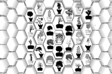 Bonsai Paufo by Intellecta Design — Dingbats Font — thumbnail 3