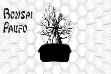 Bonsai Paufo by Intellecta Design — Dingbats Font — thumbnail 4