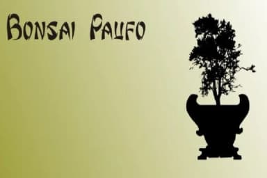 Bonsai Paufo by Intellecta Design — Dingbats Font — thumbnail 5