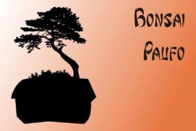 Bonsai Paufo by Intellecta Design — Dingbats Font — thumbnail 6