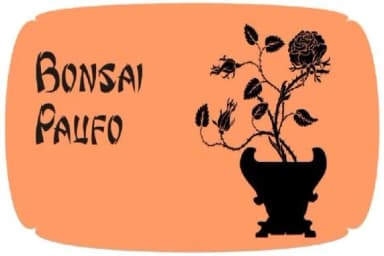 Bonsai Paufo by Intellecta Design — Dingbats Font — thumbnail 7