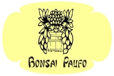 Bonsai Paufo by Intellecta Design — Dingbats Font — thumbnail 8