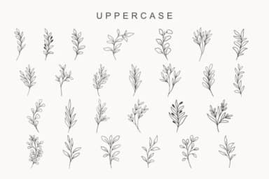 Botafall by Letterayu — Dingbats Font — thumbnail 2