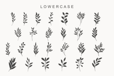 Botafall by Letterayu — Dingbats Font — thumbnail 3