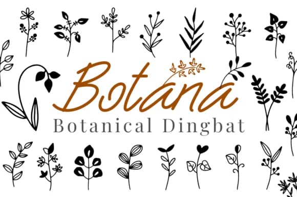 Botana by Letterayu — Dingbats Font