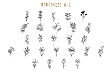 Botana by Letterayu — Dingbats Font — thumbnail 3