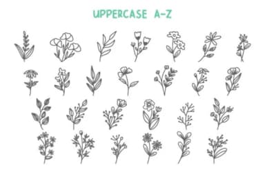 Botani by Letterayu — Dingbats Font — thumbnail 2