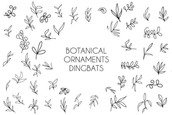 Botanical Ornaments by goodigital — Dingbats Font