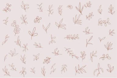 Botanical Ornaments by goodigital — Dingbats Font — thumbnail 2