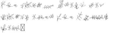 Botanical Ornaments by goodigital — Dingbats Font — thumbnail 4