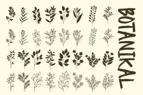 Botanikal by Font-Tastic — Dingbats Font