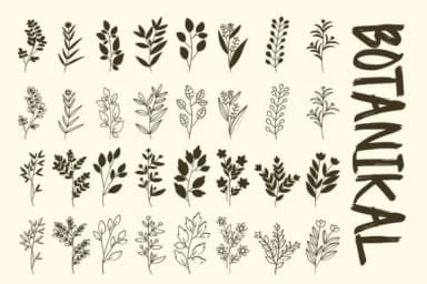 Botanikal by Font-Tastic — Dingbats Font — thumbnail 1