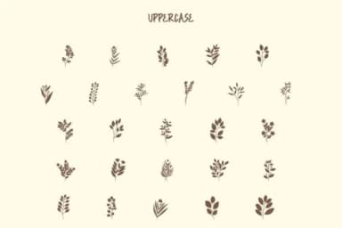 Botanikal by Font-Tastic — Dingbats Font — thumbnail 2