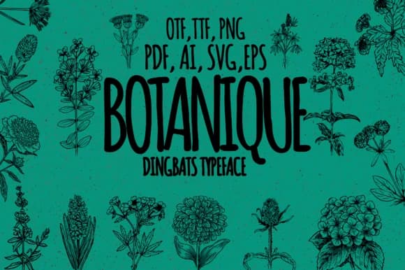 Botanique by Minimalistartstudio — Dingbats Font