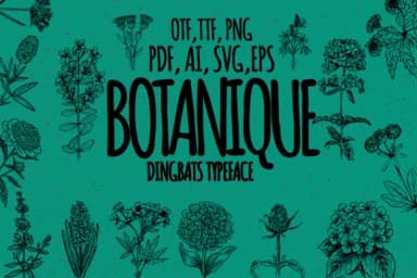 Botanique by Minimalistartstudio — Dingbats Font — thumbnail 1