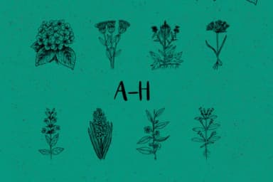 Botanique by Minimalistartstudio — Dingbats Font — thumbnail 2