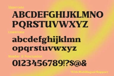 Bountyman by letterhend — Slab Serif Font — thumbnail 8