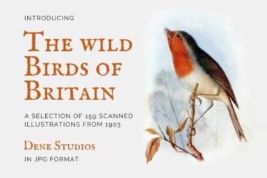 Boyhood by denestudios — Slab Serif Font — thumbnail 6