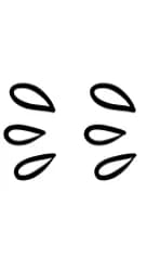 Bracket by Sirinart — Dingbats Font — thumbnail 7