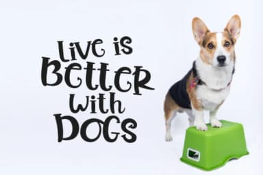 Bread Story by DLetters.std — Slab Serif Font — thumbnail 8