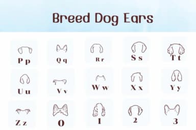Breed Dog Ears by Ketsarin — Dingbats Font — thumbnail 3