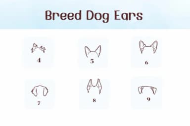 Breed Dog Ears by Ketsarin — Dingbats Font — thumbnail 4