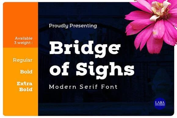 Bridge of Sighs by Labastudioid — Slab Serif Font