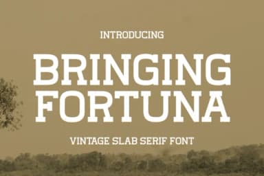 Bringing Fortuna by Damai (7NTypes) — Slab Serif Font — thumbnail 1
